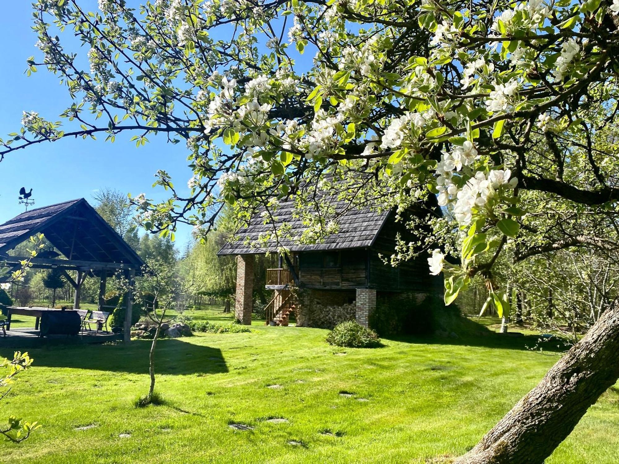 Griki Villa Kalniski Luaran gambar