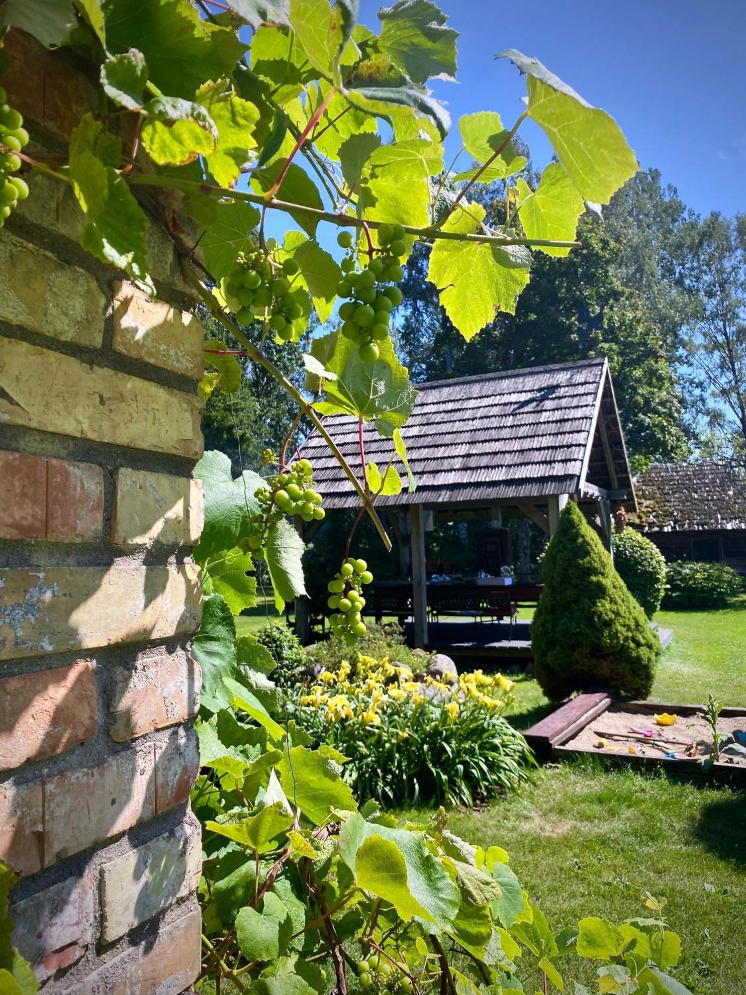 Griki Villa Kalniski Luaran gambar